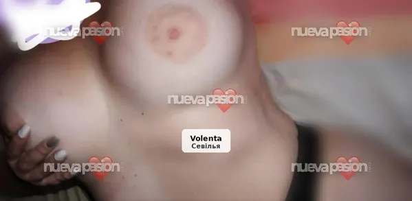 Bombó llatí molt complaent i festiu 💯