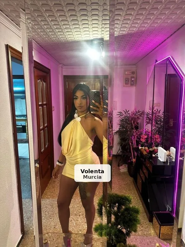 La teva negreta més completa i elegant