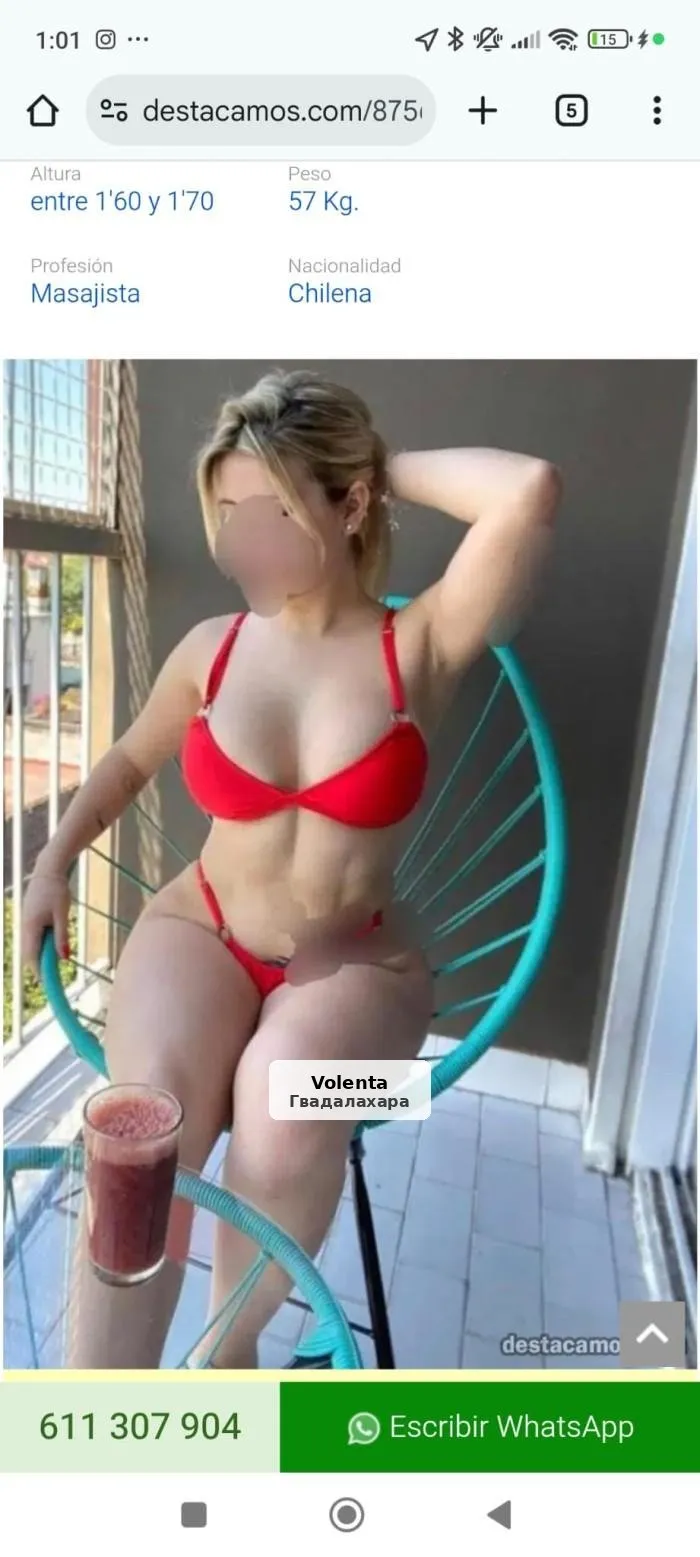 Anita, dolça i afectuosa, disponible avui - 1/5