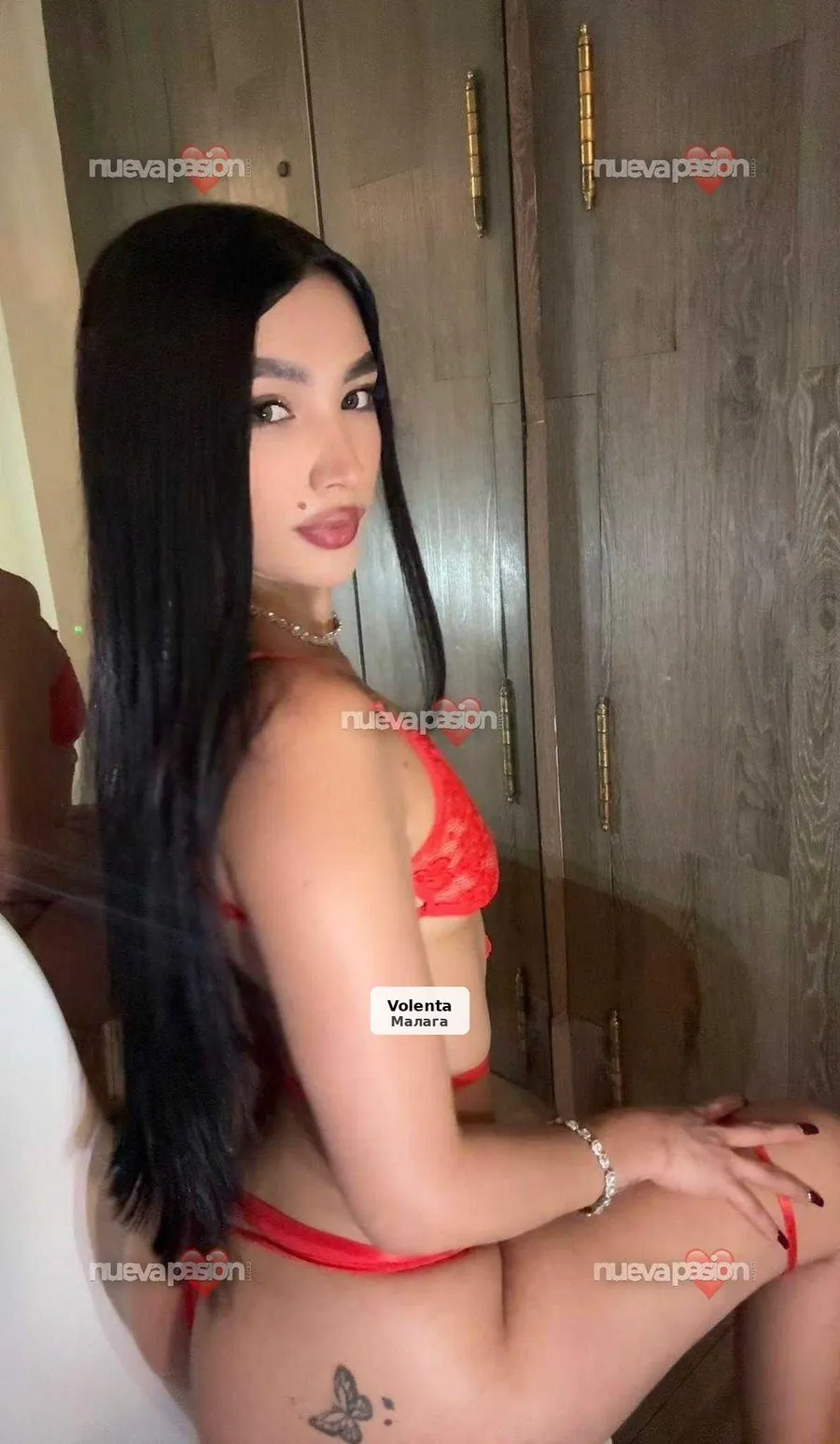 Megan, hermosa latina caliente y fiestera - 1/5